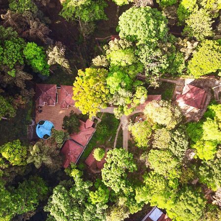 Qexperiences Coorg Hotel Madikeri Exterior photo