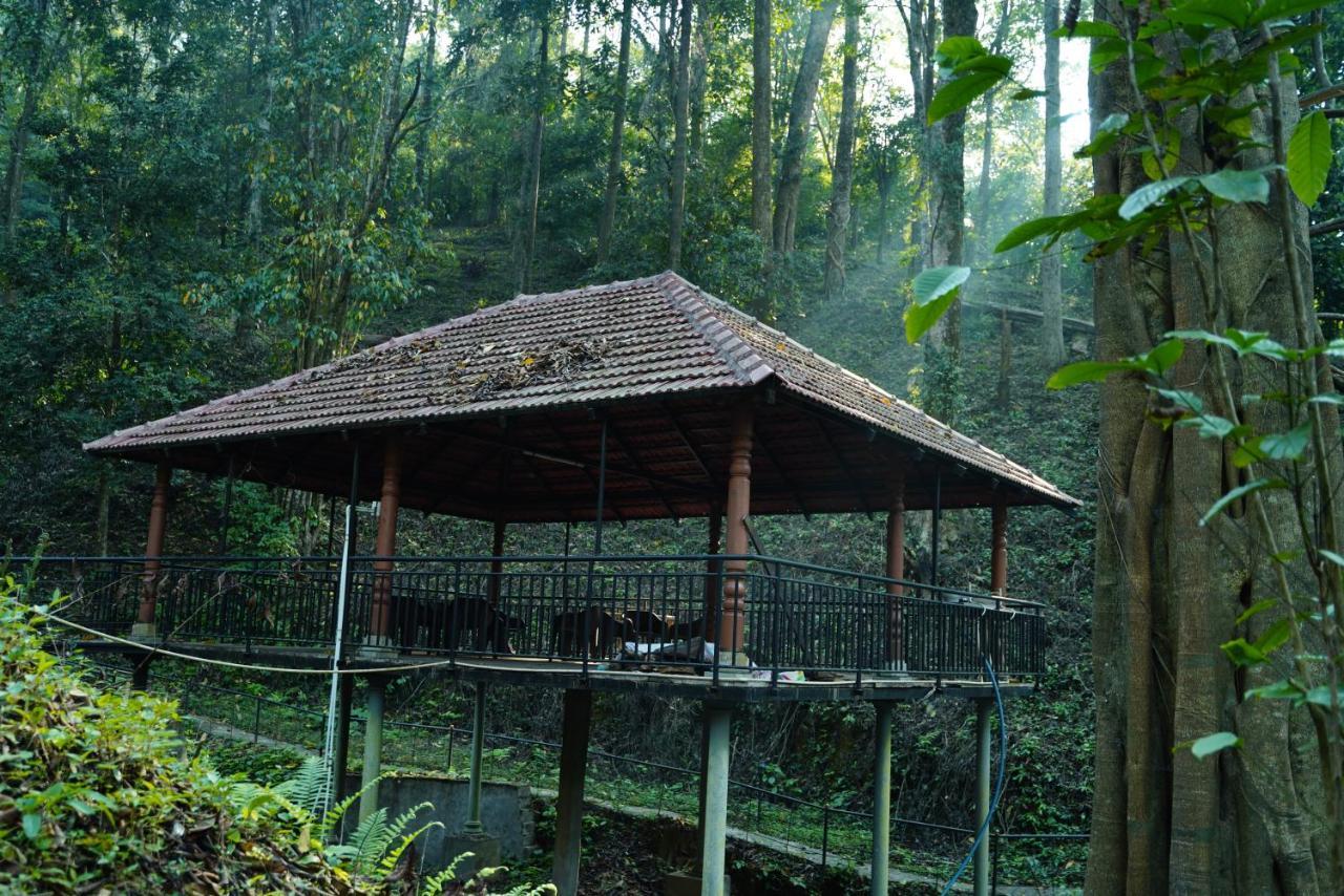 Qexperiences Coorg Hotel Madikeri Exterior photo